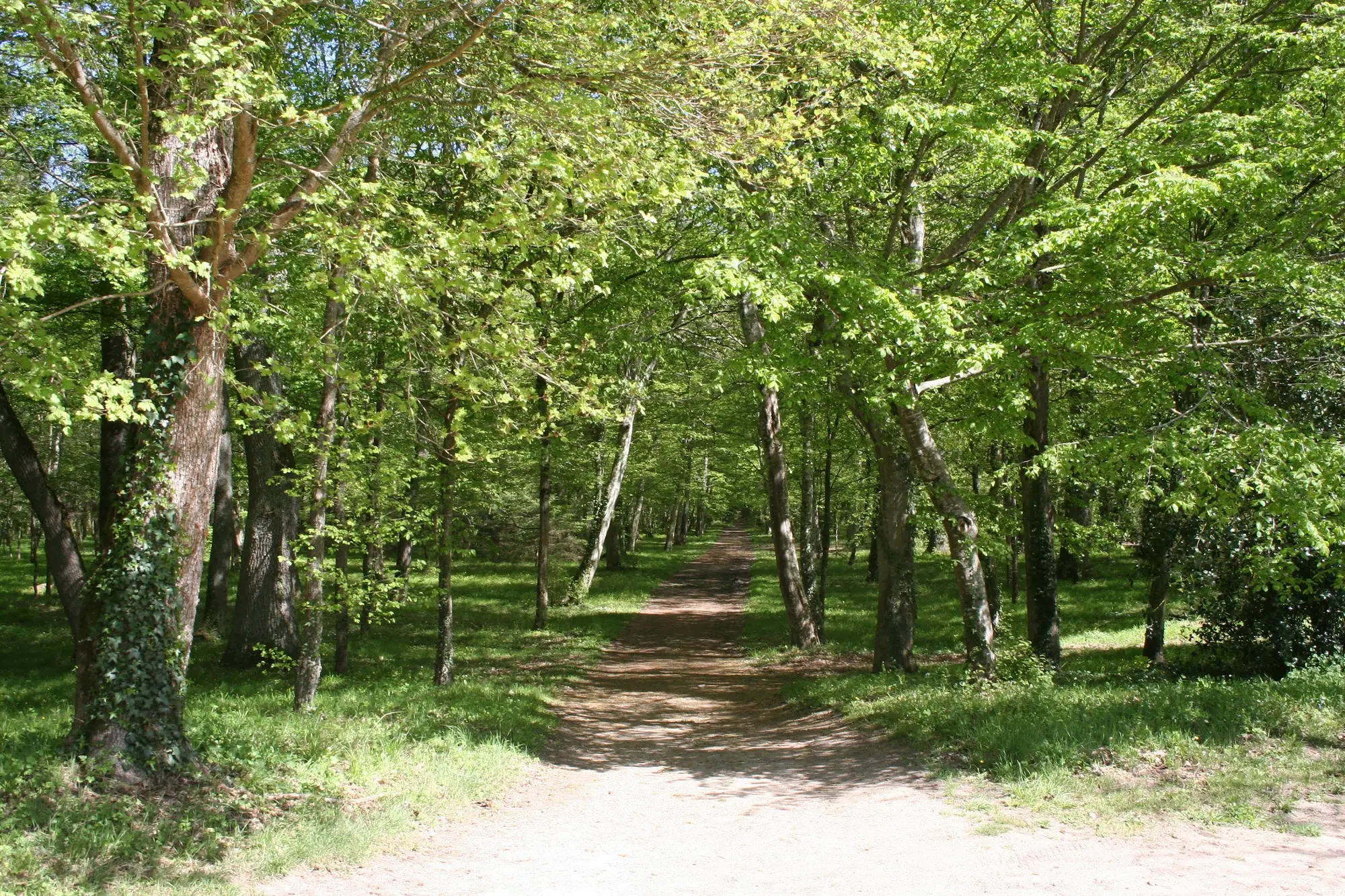 Sologne côté nature : nos plus belles balades à faire en famille
